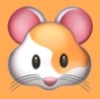 WWW,133av·COM网站APPAPP应用