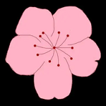 电视下载斗鱼直播APP应用