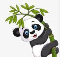 苹果手机抖音直播助手